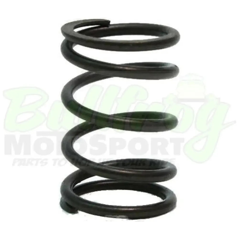 Dyno Cams Valve Spring, 22 Lb. Clone/Predator 212cc