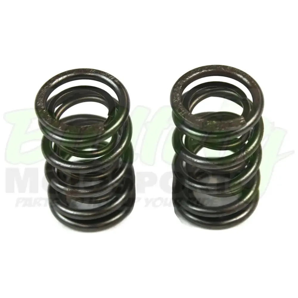 Valve Spring Kit, Dual Valve Spring Kit Honda GX390 Predator 420cc Big
