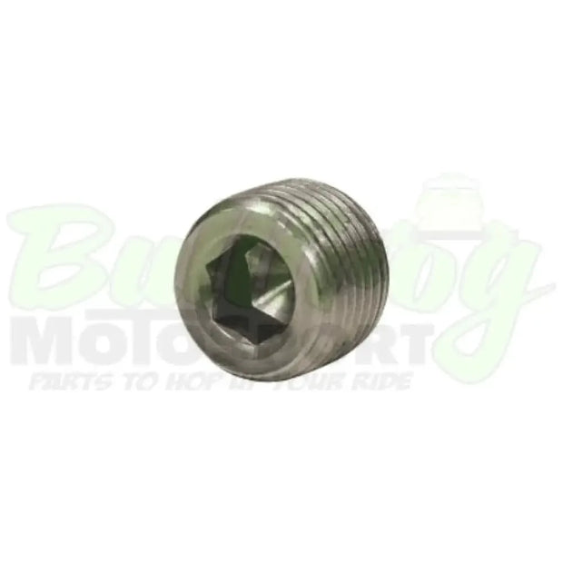 1/8 Pipe Plug Brake Fittings