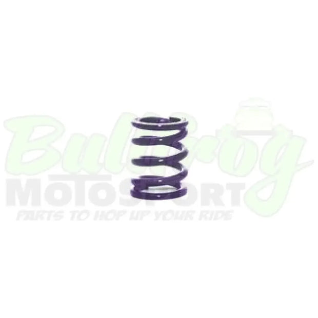 Bully Clutch Spring .067 (Purple)