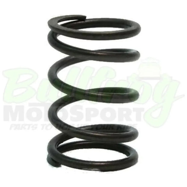 Dyno Cams Valve Spring 22 Lb. Clone/Predator 212Cc