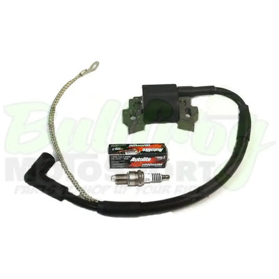 Hot Coil Ignition Bundle With Spark Plug Gx390