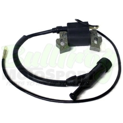 Ignition Coil Ducar Oem Small Block