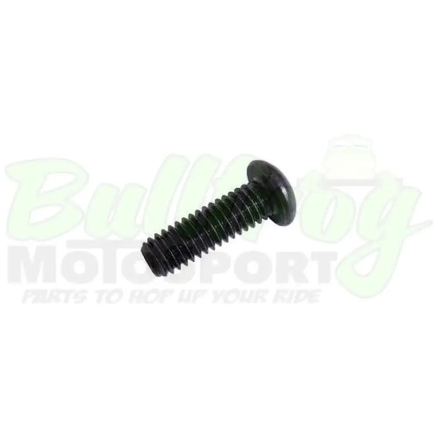 Mcp Pad Retention Screw (Sold Each) Brakes